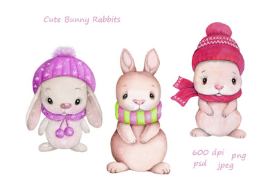 Cute Bunny Rabbits.