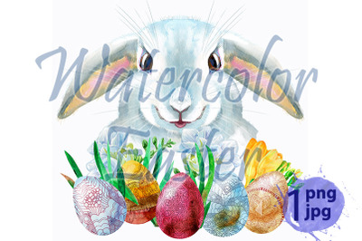 Watercolor illustration of a white rabbit with eggs and grass