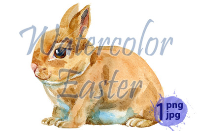 Watercolor illustration of beige rabbit