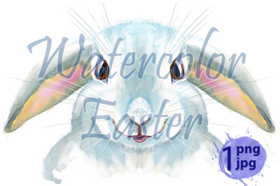 Watercolor illustration of a white rabbit