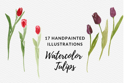 Watercolor tulips clip art, Hand painted tulip flowers, Spring flowers