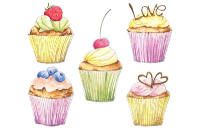 Set with cupcakes, berries, chocolate, cream hand drawn in watercolor