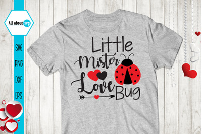 Little Mister Love Bug Svg, Valentines Bug Svg