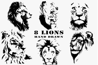 Hand drawn lions. Vector +