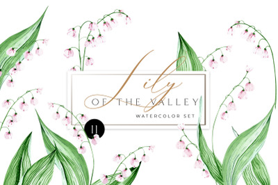 Watercolor lily of the valley wedding clip art. Meadow floral Clipart.