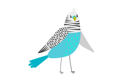 Blue cartoon parrot