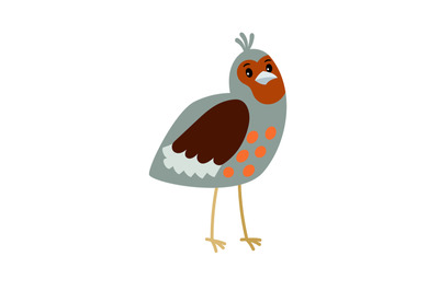 Partridge cartoon bird icon