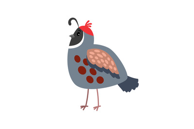 Quail cartoon bird icon