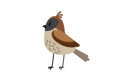 Sparrow funny cartoon bird