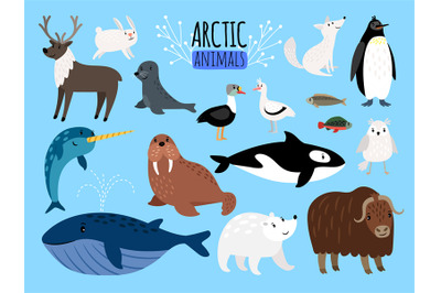 Arctic animals. Cute animal set of Arctic or Alaska vector illustratio