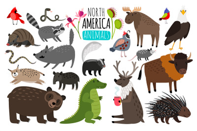 North american animals. Animal graphics of North America&2C; american bis