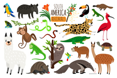 South America animals. Vector cartoon guanaco and iguana&2C; anteater and