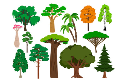 Cartoon trees. Vector green tree set, brachychiton and rowan, palm and