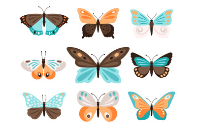 Colorful butterflies with blue orange wings