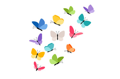 Butterflies in flight