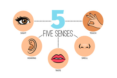 Five human feelings. Mouth or lips, hand and nose, eye and ear icons,