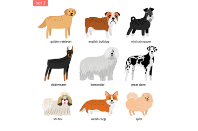 Dog breeds. Vectors dogs breeding collection isolated on white backgro