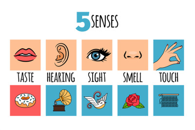 Five senses illustrations