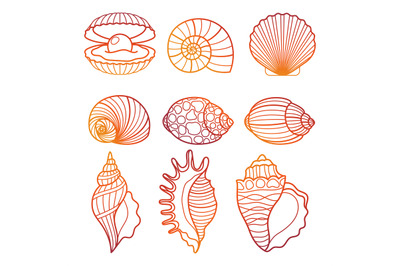 Seashells. Colorful outline seashell set vector illustration