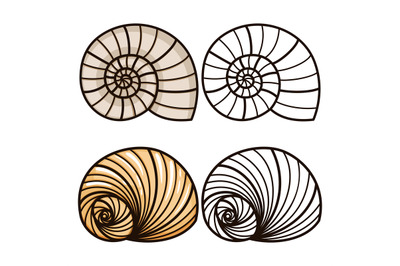 Cartoon and outline sea shells