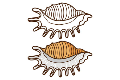 Coloring for kids with sea shell