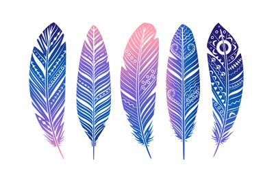 Color feathers vector set. Hand sketched tribal feathers isolated on w