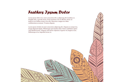 Vintage feathers background