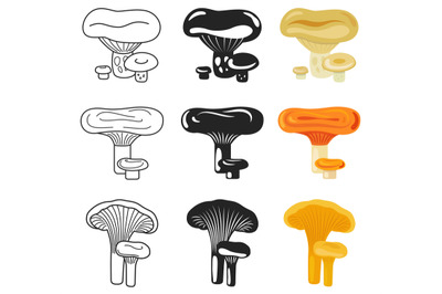 Mushroom icons. Autumn mushrooms set vector illustration