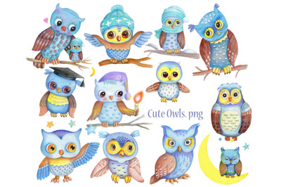 Watercolor cute owls