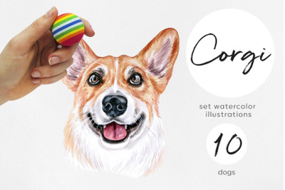 Welsh corgi pembroke. Watercolor dogs illustrations. 10 dogs