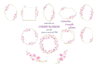 watercolor sakura cherry blossom big set