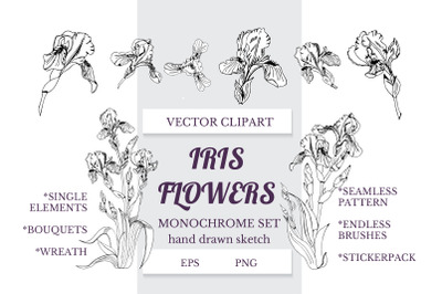 Hand drawn ink sketch of iris flowers. Vector elements.