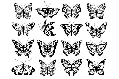 Butterfly. Stylized exotic butterflies silhouettes with openwork wings