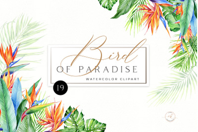 Watercolor tropical clip art PNG. Hawaii Wedding floral Clipart. Tropi