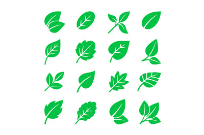 Green leaves icons. Vector leaf symbols illustration, trees leafs sign