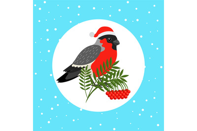 Bullfinch bird with Santa hat