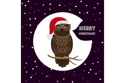 Owl with Santa hat card Christmas card