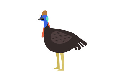 Cassowary cute cartoon bird