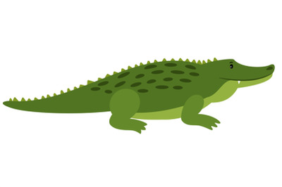 Vector Crocodile. Vector isolated cartoon alligator, african gator on