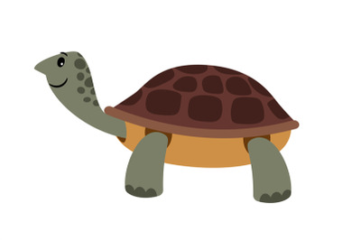 Cute turtle. Vector cartoon turtle pet vector illustration