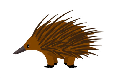 Echidna. Cute vector echidna character on white