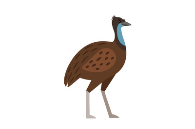 Emu cartoon bird icon