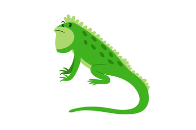 Iguana exotic reptile cartoon icon