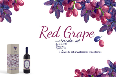 Red Grape Watercolor