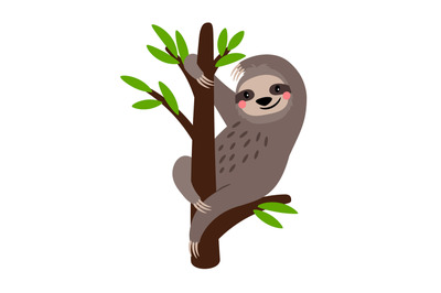 Sloth. Cute vector sloth bear animal character on tree branch isolated