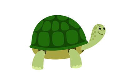 Green cute turtle cartoon icon