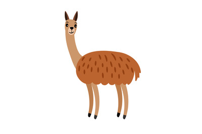 Vicuna cute cartoon animal