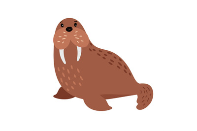 Walrus cartoon animal