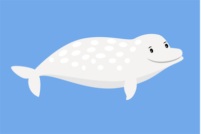 White whale cute sea animal