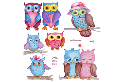 Owls, owls, owls... Watercolor illustrations.